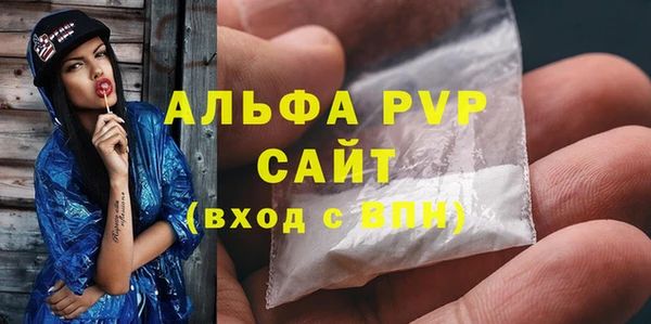 гашик Анжеро-Судженск