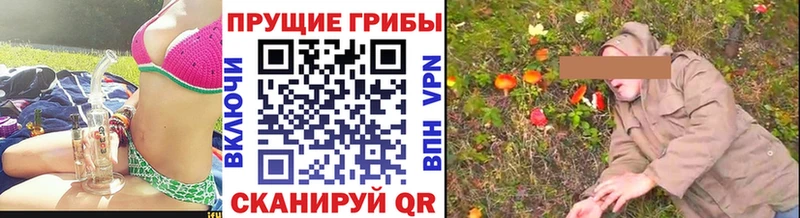 Галлюциногенные грибы GOLDEN TEACHER  даркнет сайт  Урай 